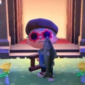 Meet your Posher, Julianne